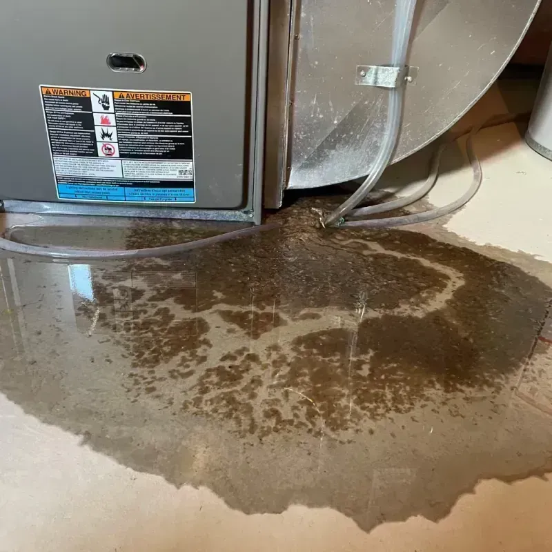 Appliance Leak Cleanup in Gridley, IL